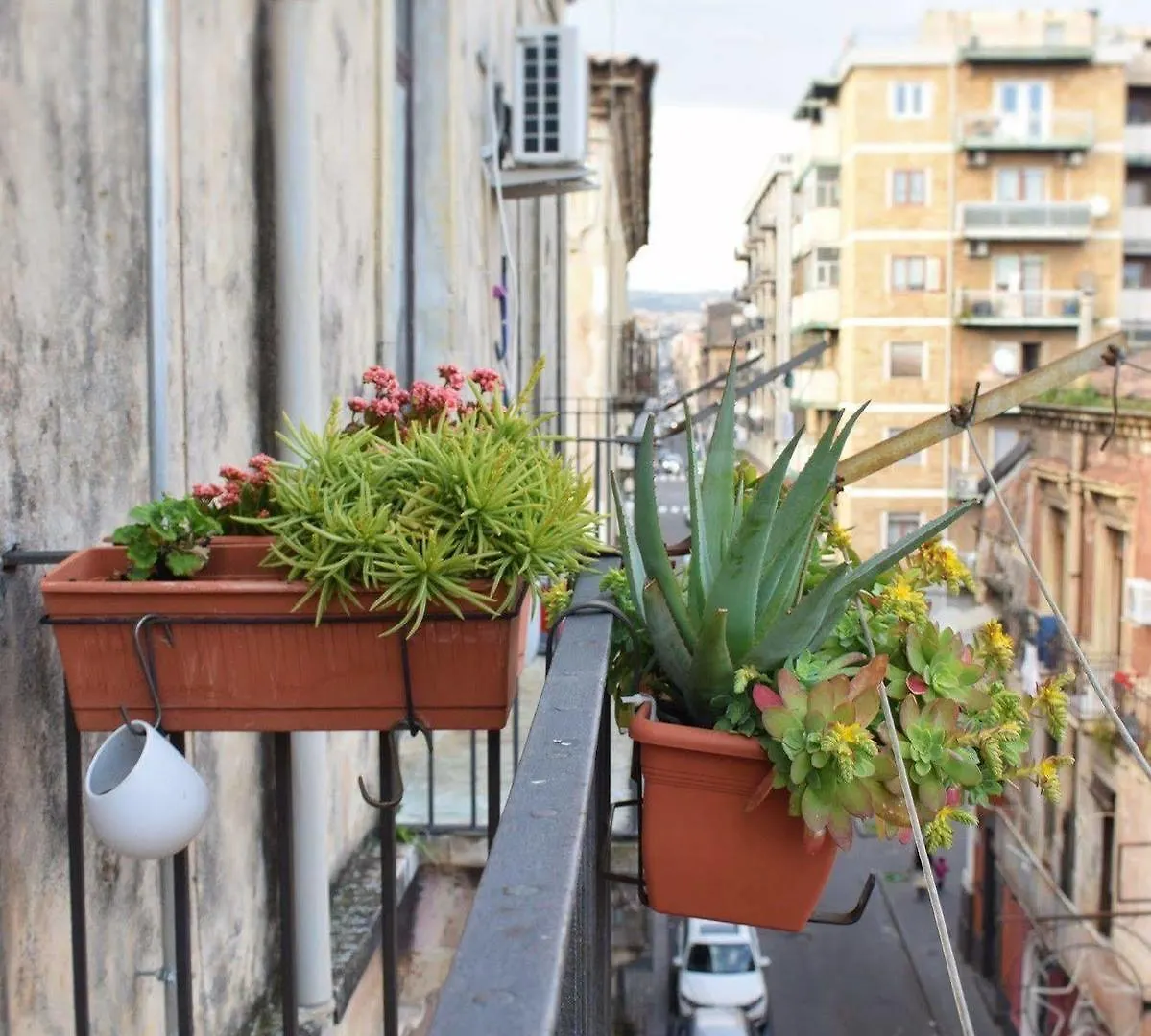 A Casa Di Sebina Apartment Catania